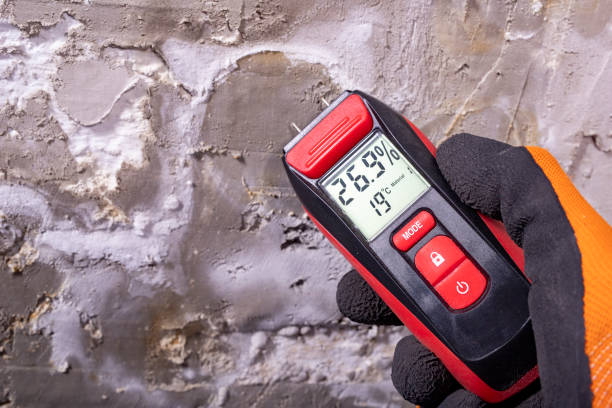 Best Certified Mold Removal  in Funny River, AK