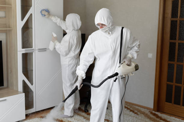 Attic Mold Removal in Funny River, AK
