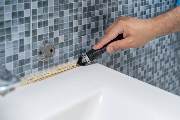 Best Best Mold Removal Companies  in Funny River, AK