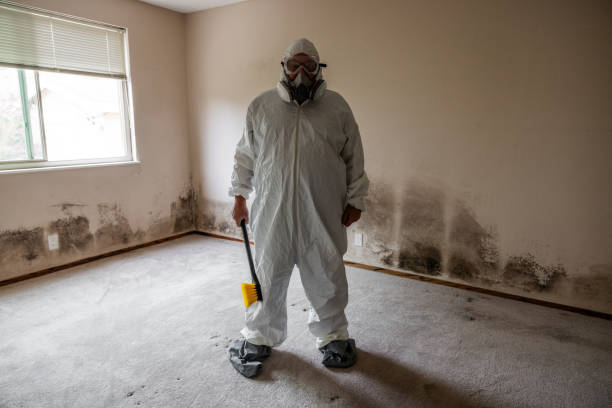 Best Mold Damage Repair  in Funny River, AK